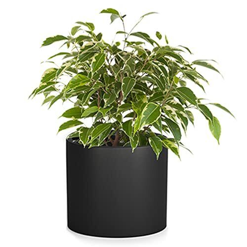 Fox & Fern Planter Plant Pots Indoor Black Planters for Indoor Plants Flower ...