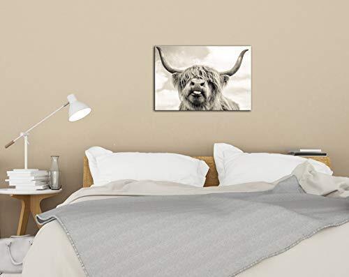 Hd8yehao Highland Cow Canvas Wall Art Prints Photo Modern Paintings Home Deco...