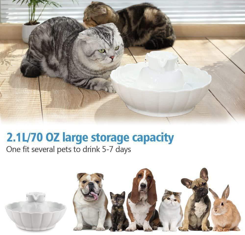 iPettie Tritone Ceramic Pet Drinking Fountain丨Ultra Quiet Way Better Than Pla...