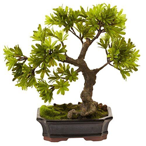 Nearly Natural Indoor Decorative Podocarpus With Mossed Bonsai Planter