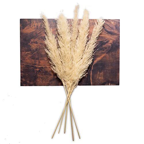 Tall Beige Dried Pampas Grass Decor - Boho Decor Bedroom - Boho Flowers - Dri...